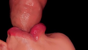 Intense Close-Up Of A Skilled Blowjob Artist Milking And Sucking A Penis To Orgasm